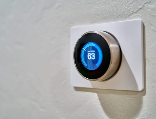 We Are Your Go-To Nest Pro in Denver